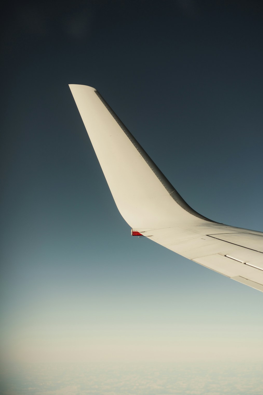 wing